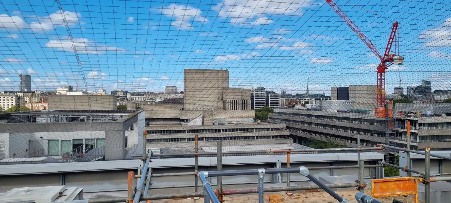 Roof-level bird netting