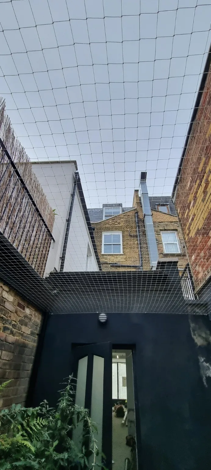 Courtyard bird netting installation