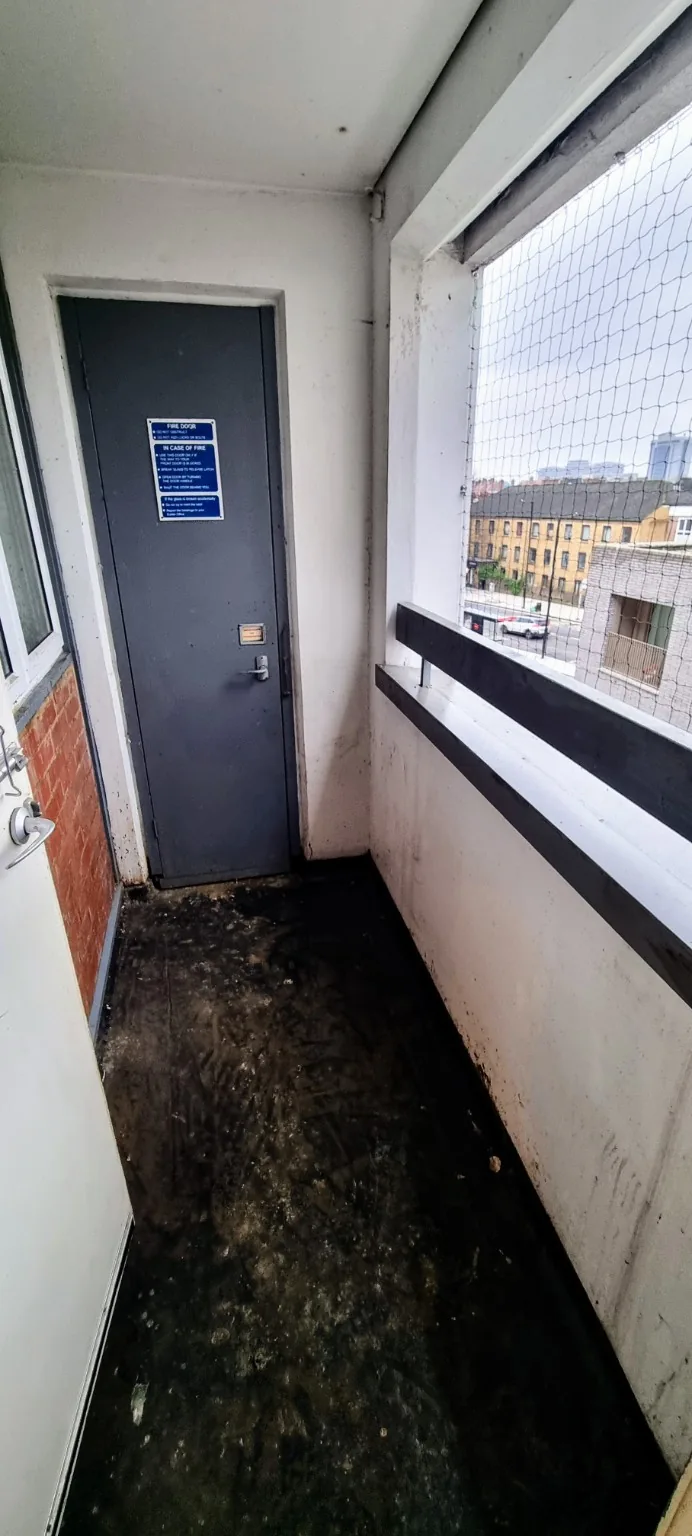 Balcony area following clearance with bird netting visible