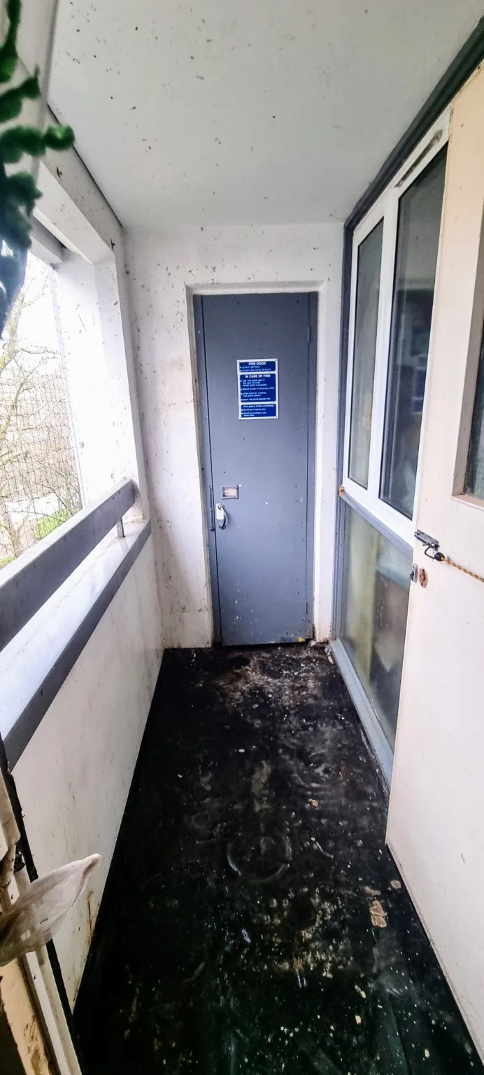 Enclosed balcony area with heavy pigeon guano contamination before cleaning