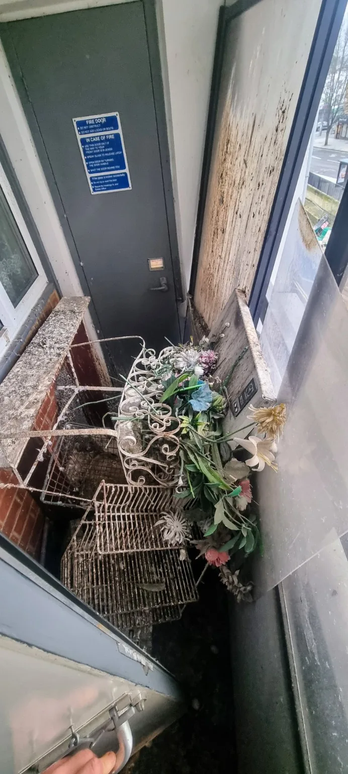 Bird contaminated area after bulk item and debris clearance stage
