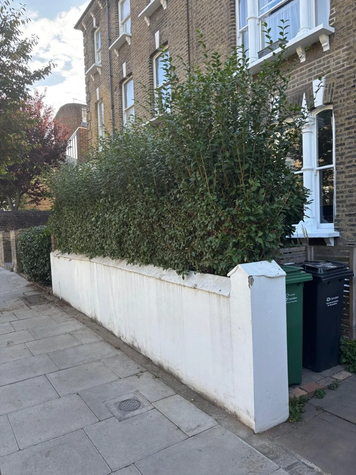 Boundary Hedge Maintenance before