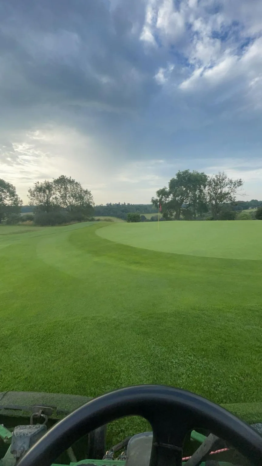 Maintained fine turf