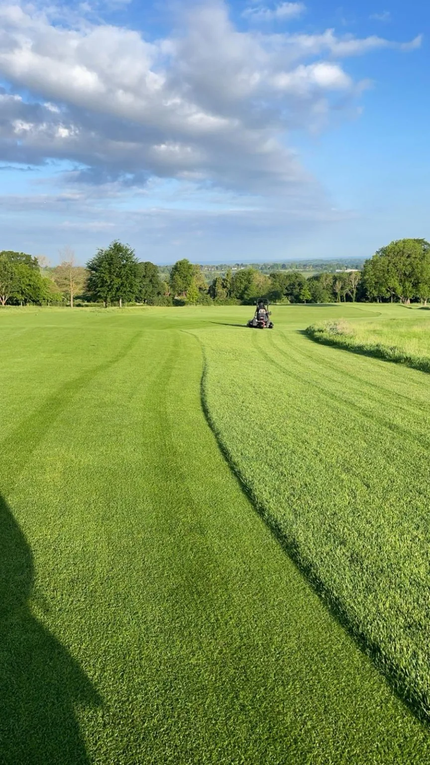 Large-area professional mowing