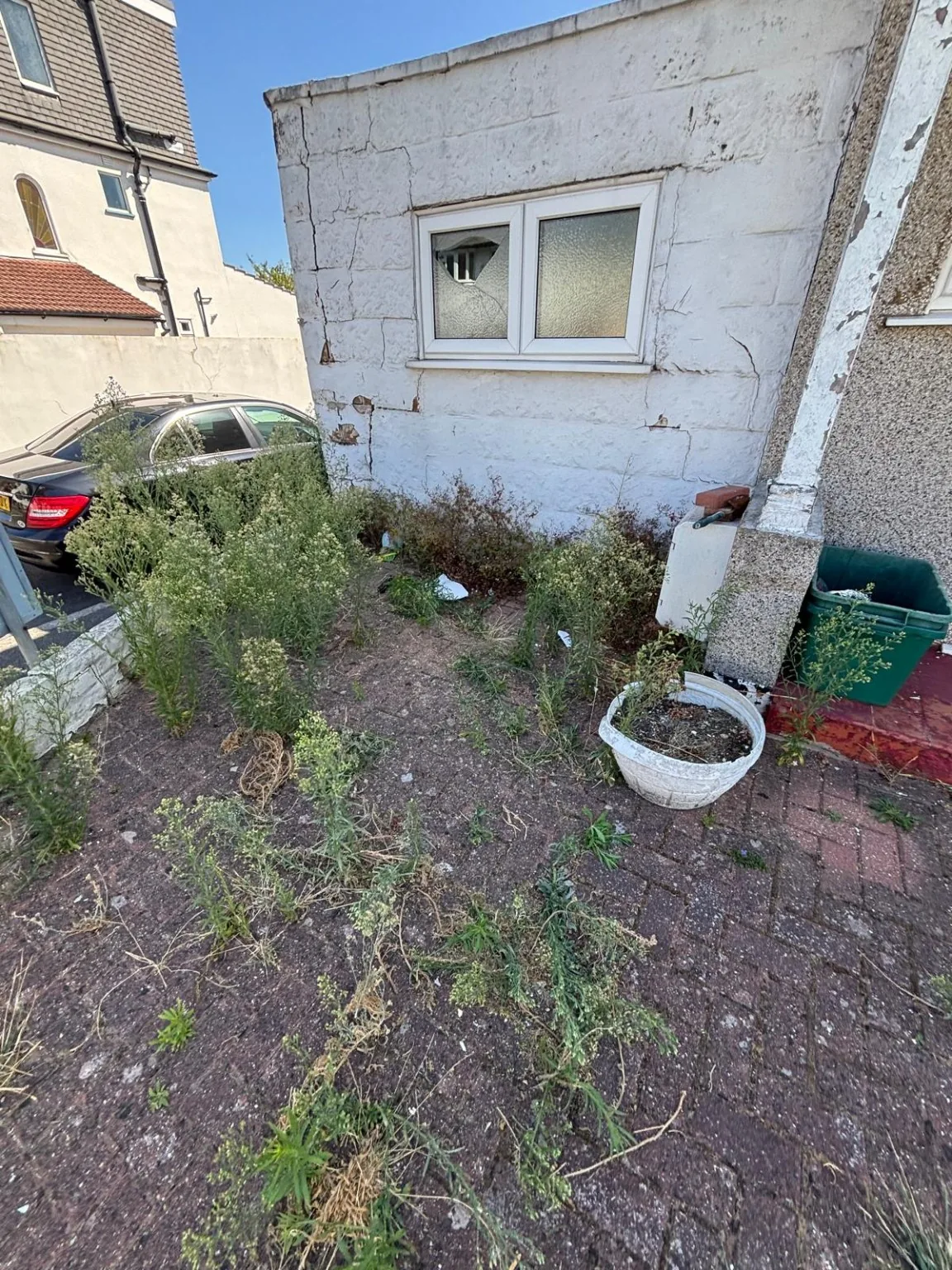 Weed Clearance before