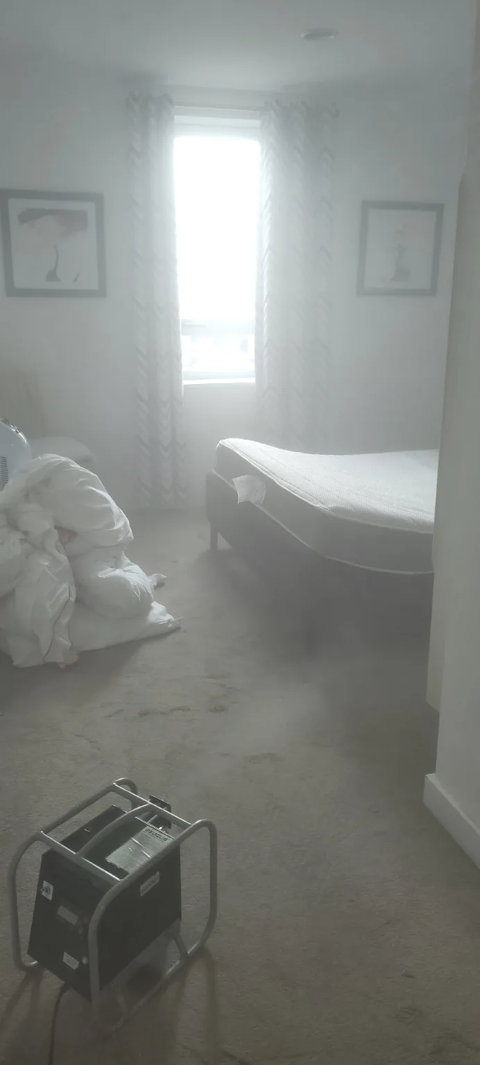 Professional insect fogging treatment