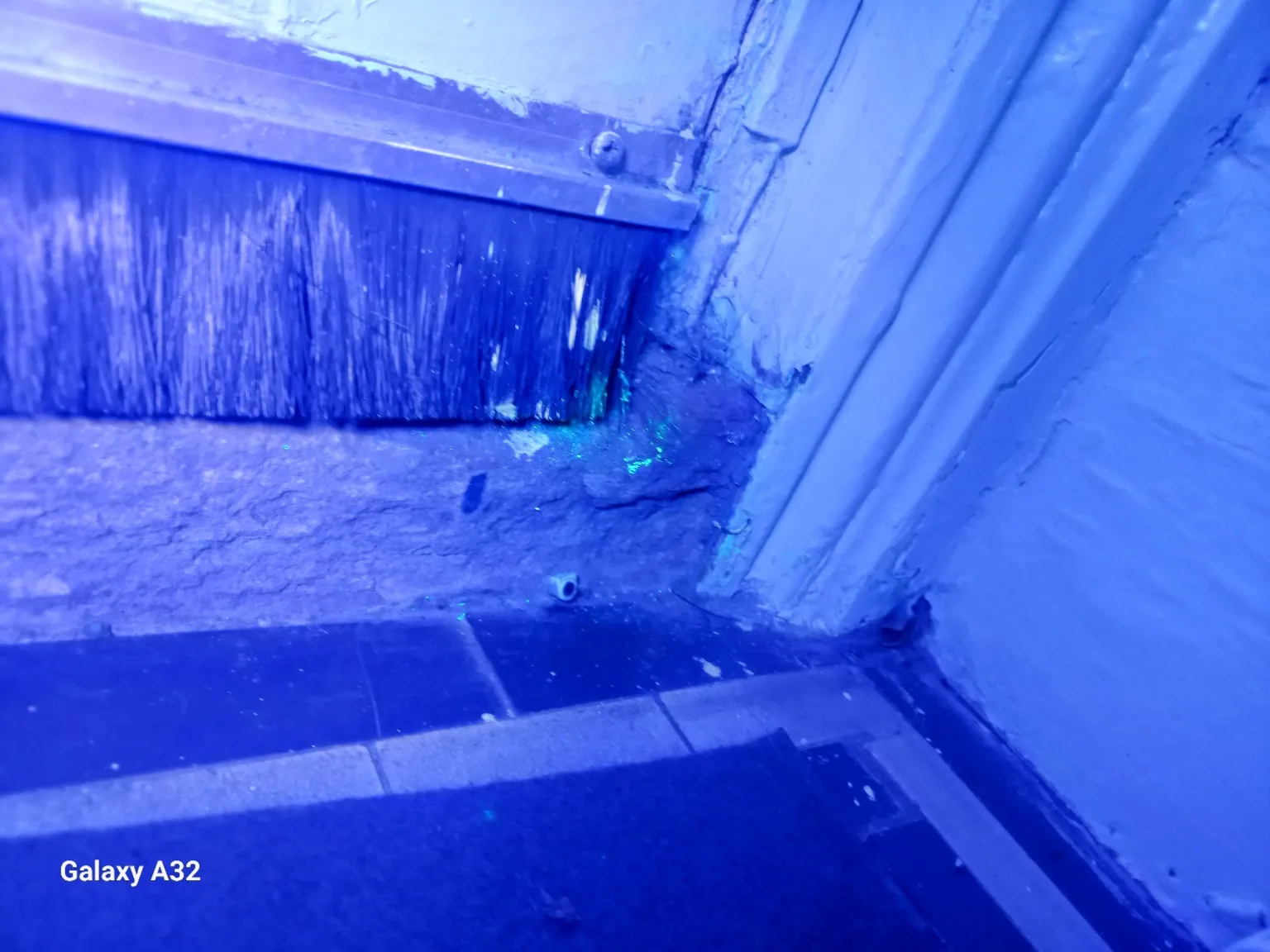 Rodent Control