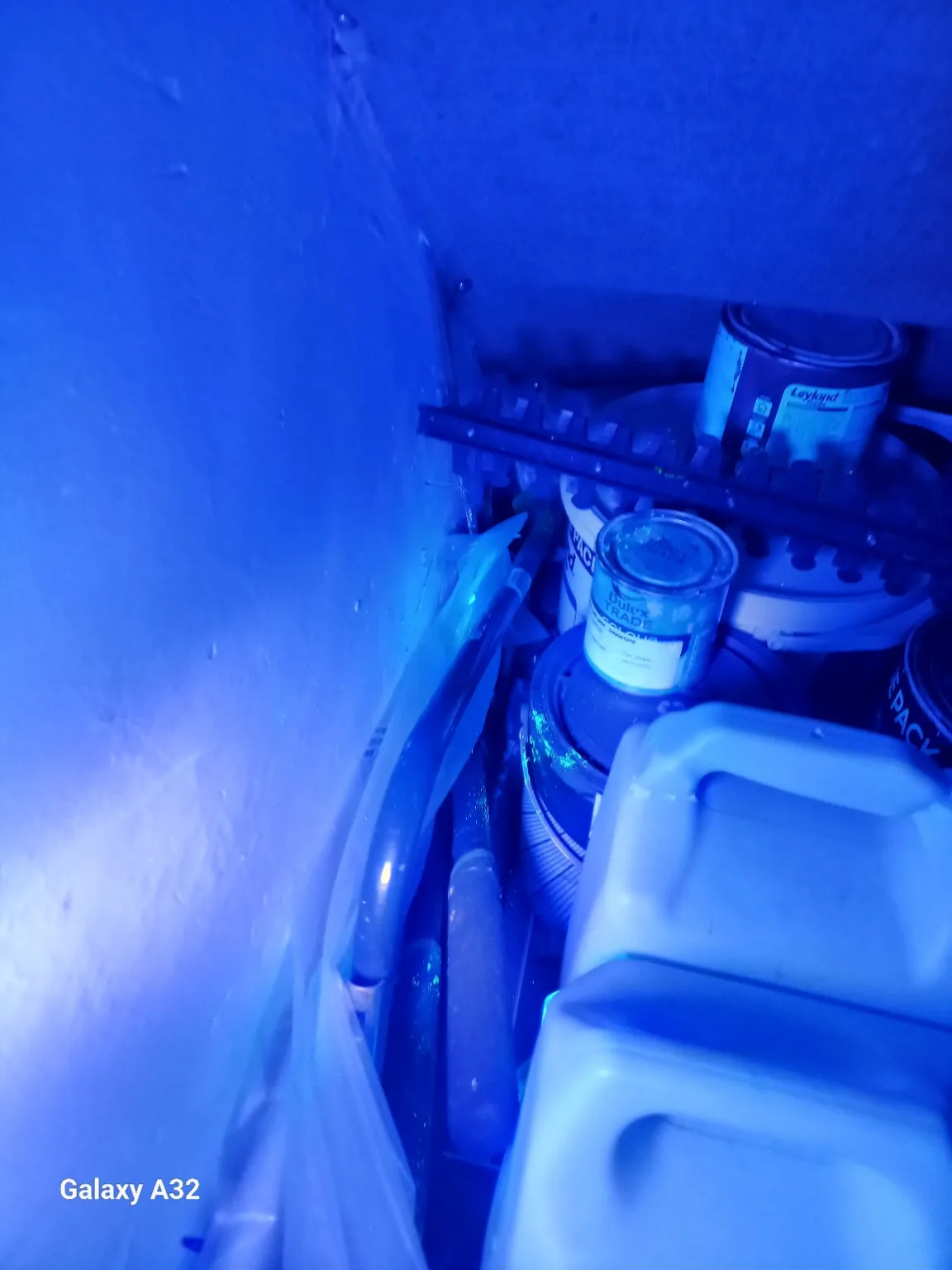 UV tracking investigation for rodents