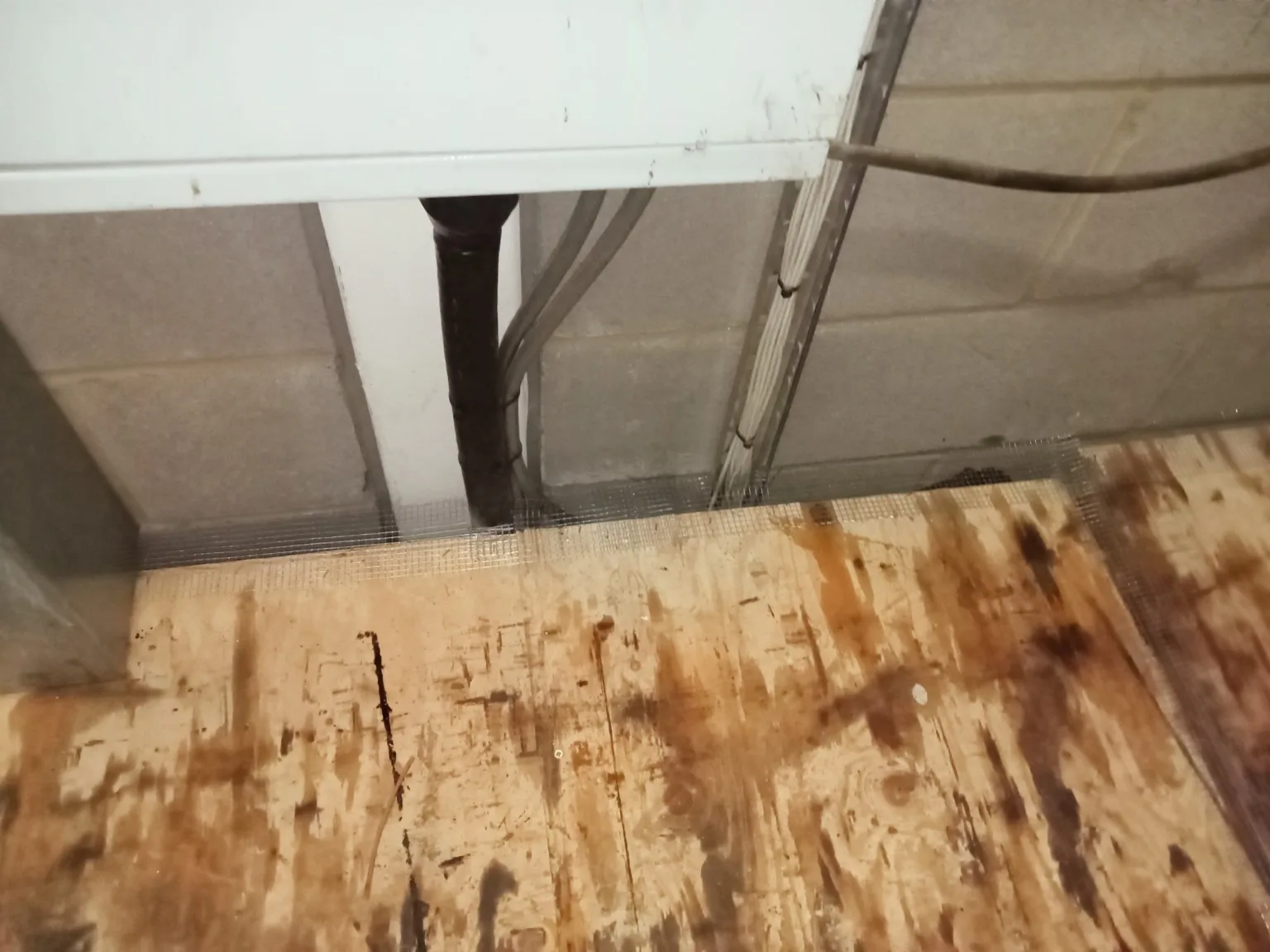 Rodent investigation and proofing example 6