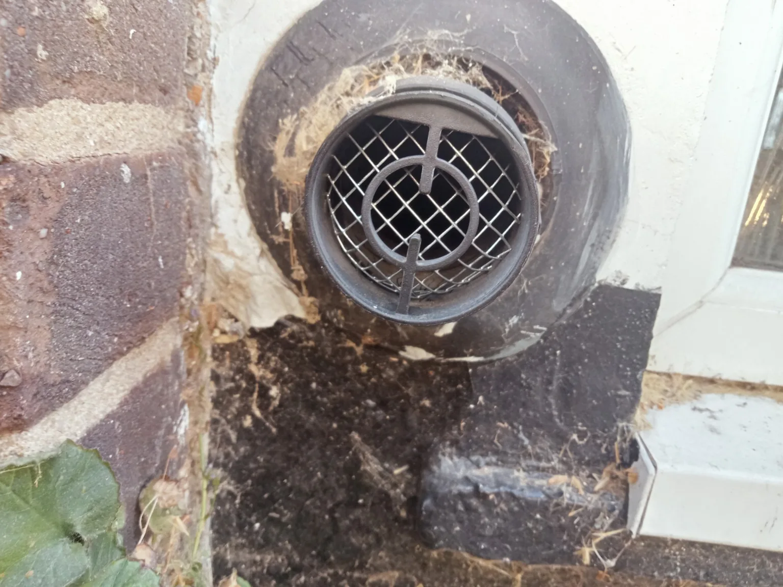 Rodent investigation and proofing example 7