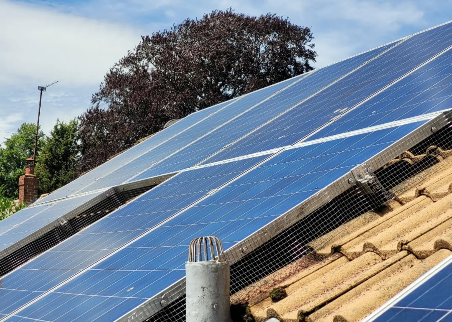 Close view of solar panel mesh proofing