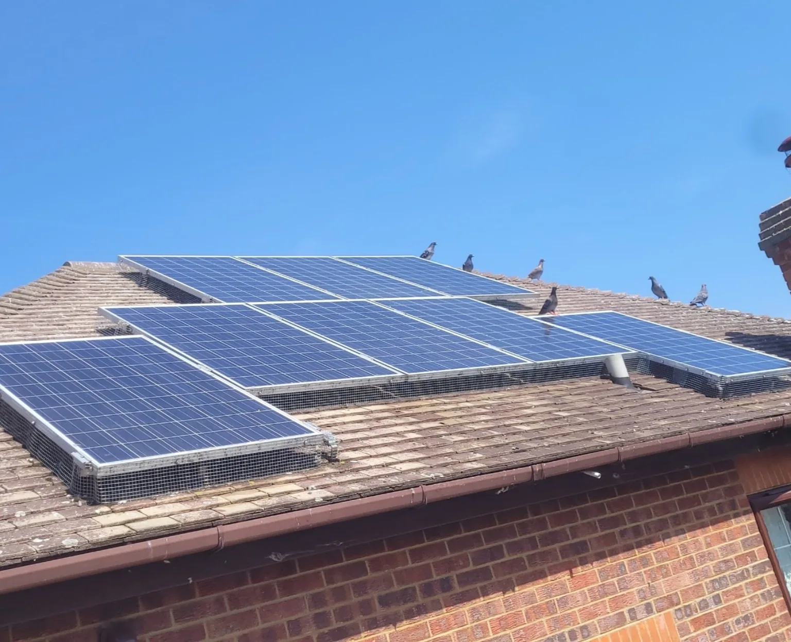Solar panel bird proofing installation