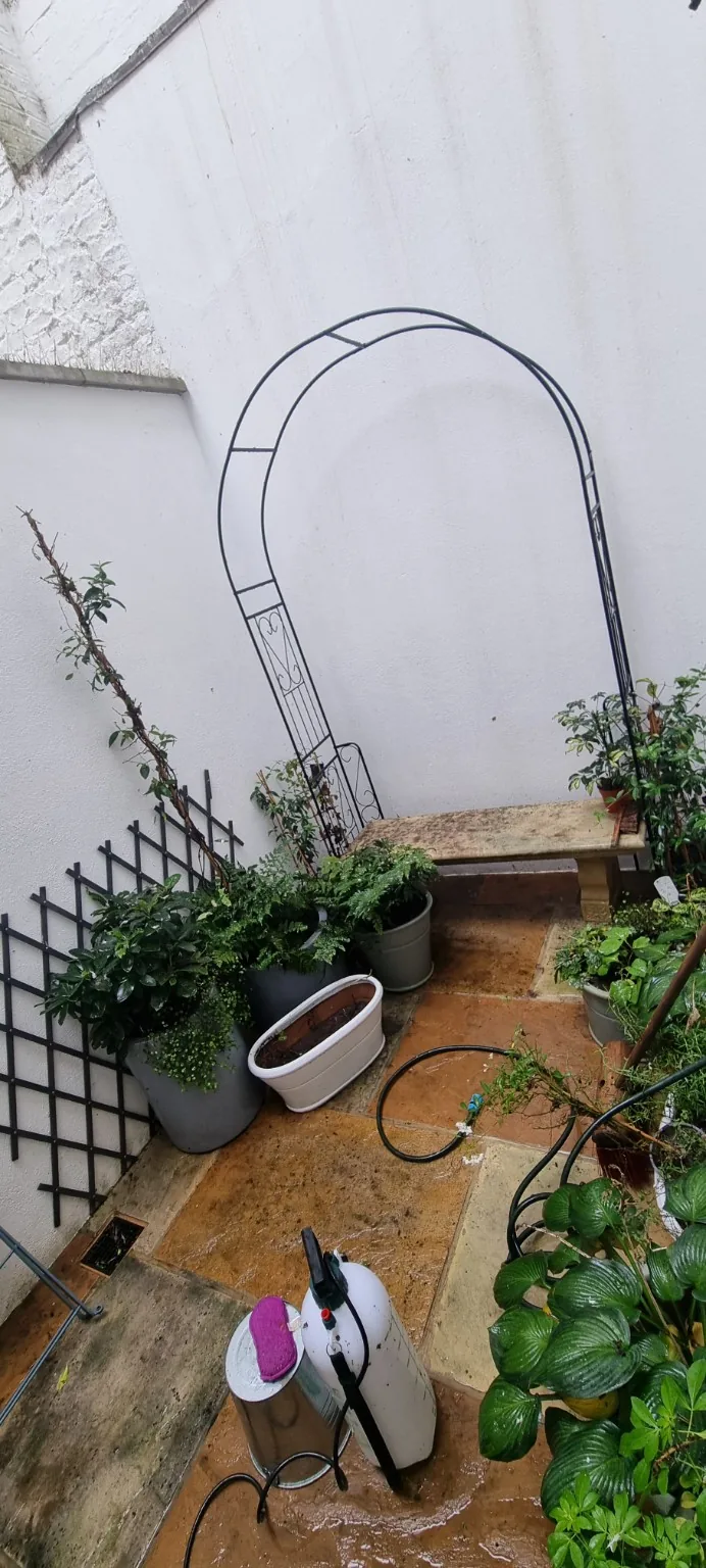 Cleaned external area after clearance